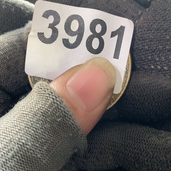 顺**水光明的未来发展潜力3981