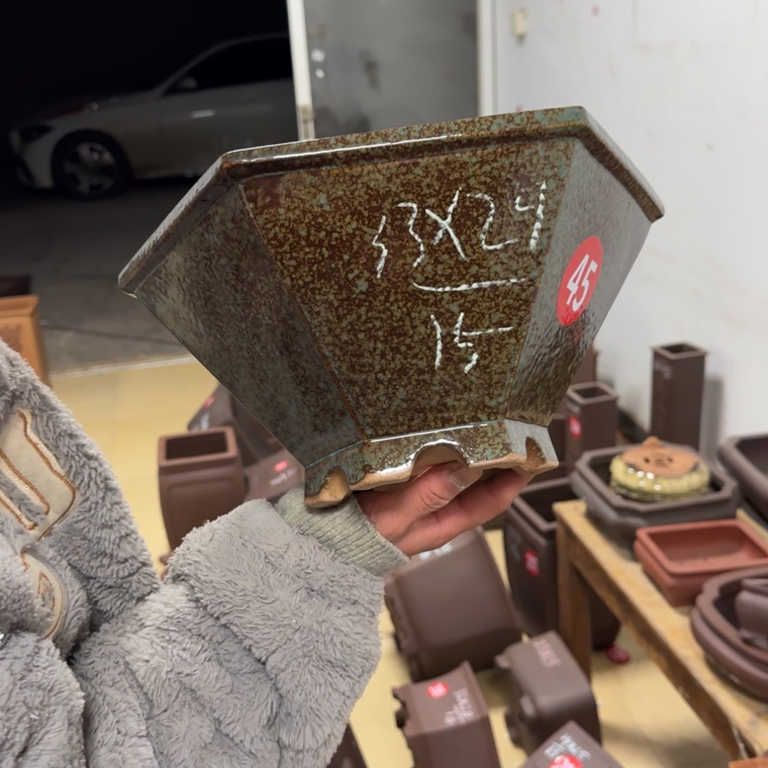 紫砂花盆呜呜呜呜