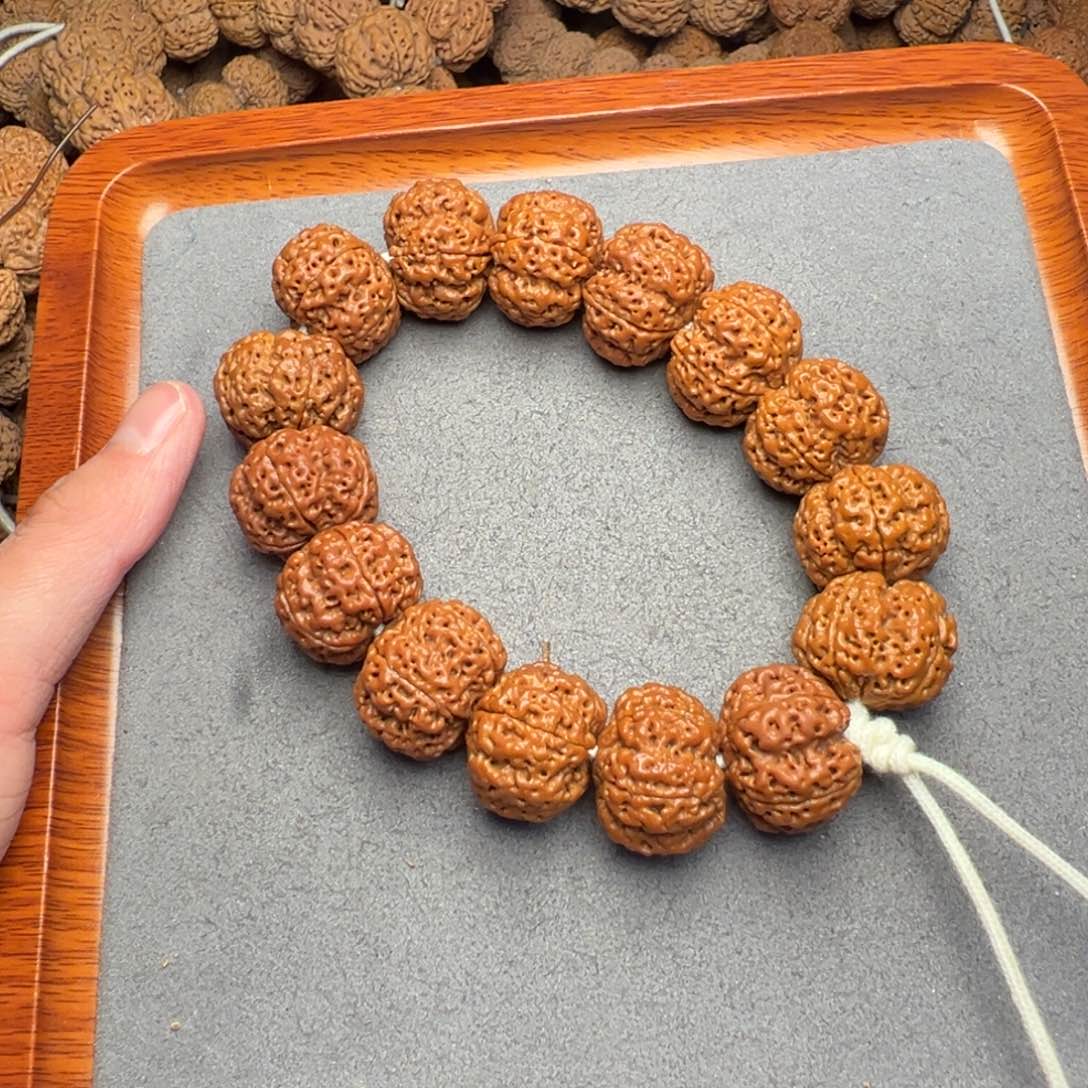 菩提15号尼泊尔大金刚23梅花豆腐块梁