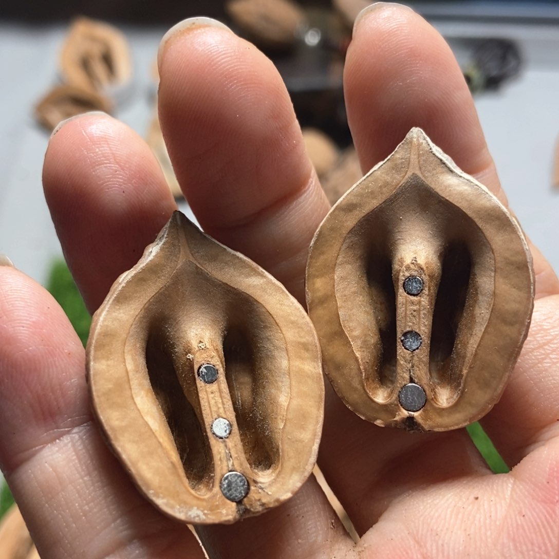 文玩核桃吊坠简**好秋子