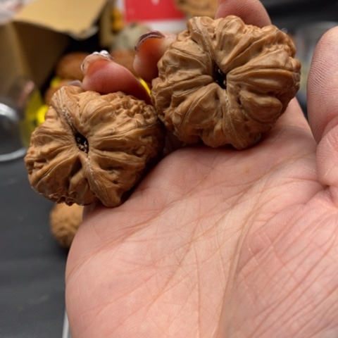 文玩核桃吊坠P**y元宝