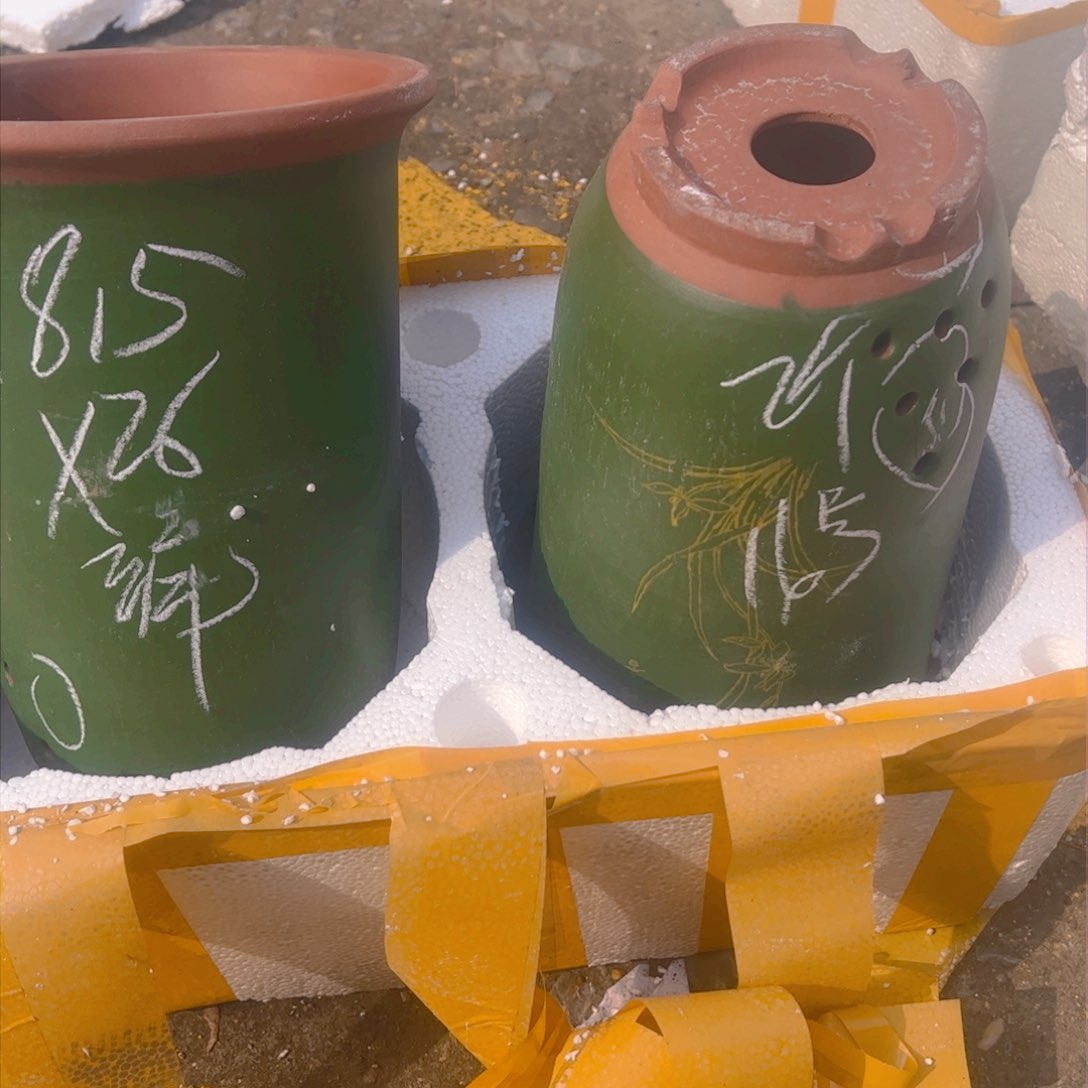 紫砂16号……………………………………