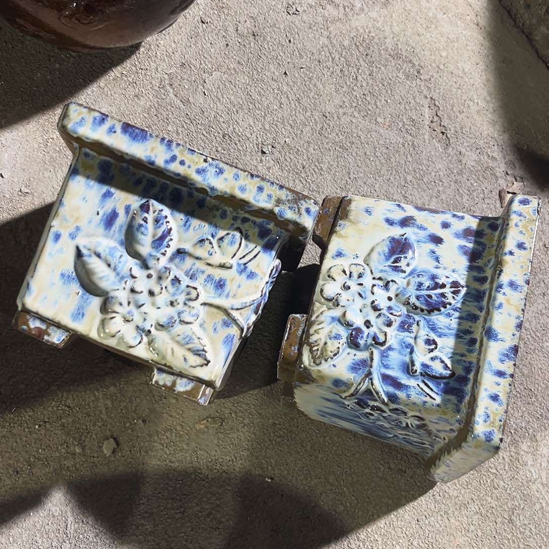 紫砂花盆里的小猫咪