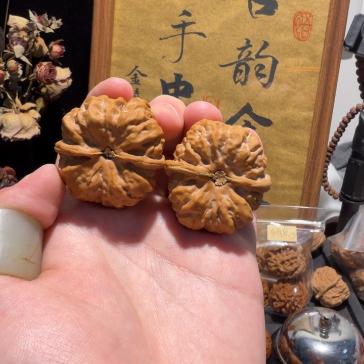 小****全品无修恶蟾毕业对红皮