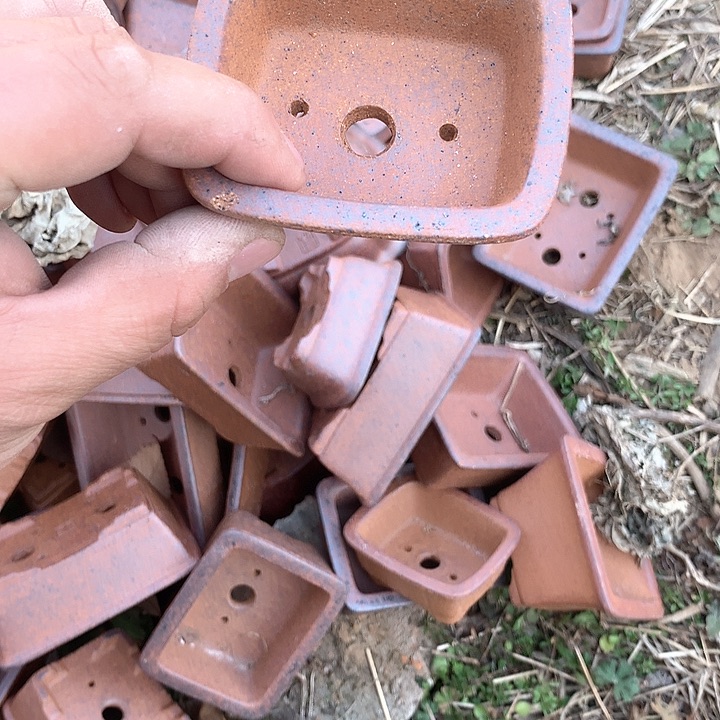 紫砂我要努力赚钱给你们一直