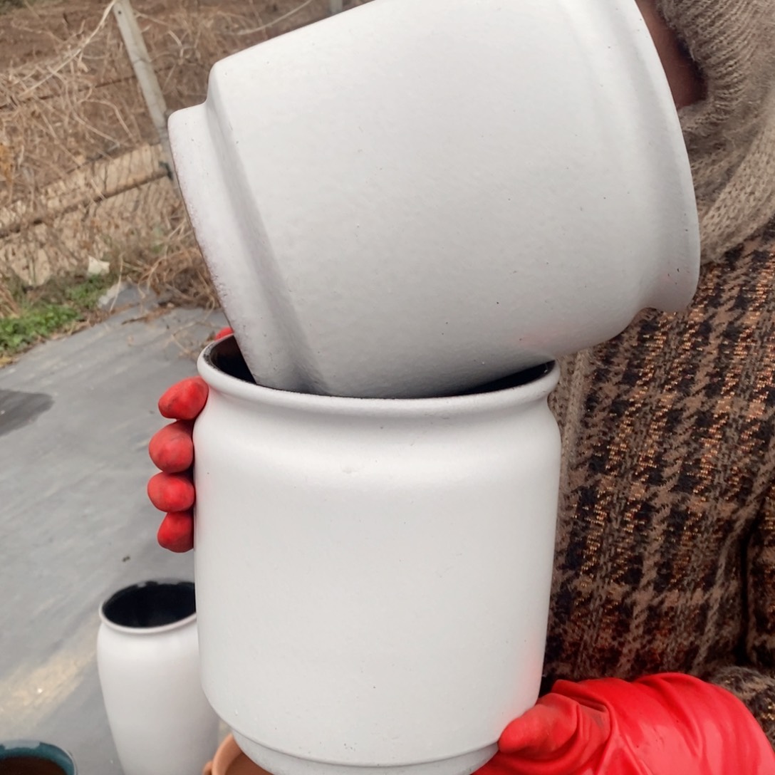 红陶口18高21～～～