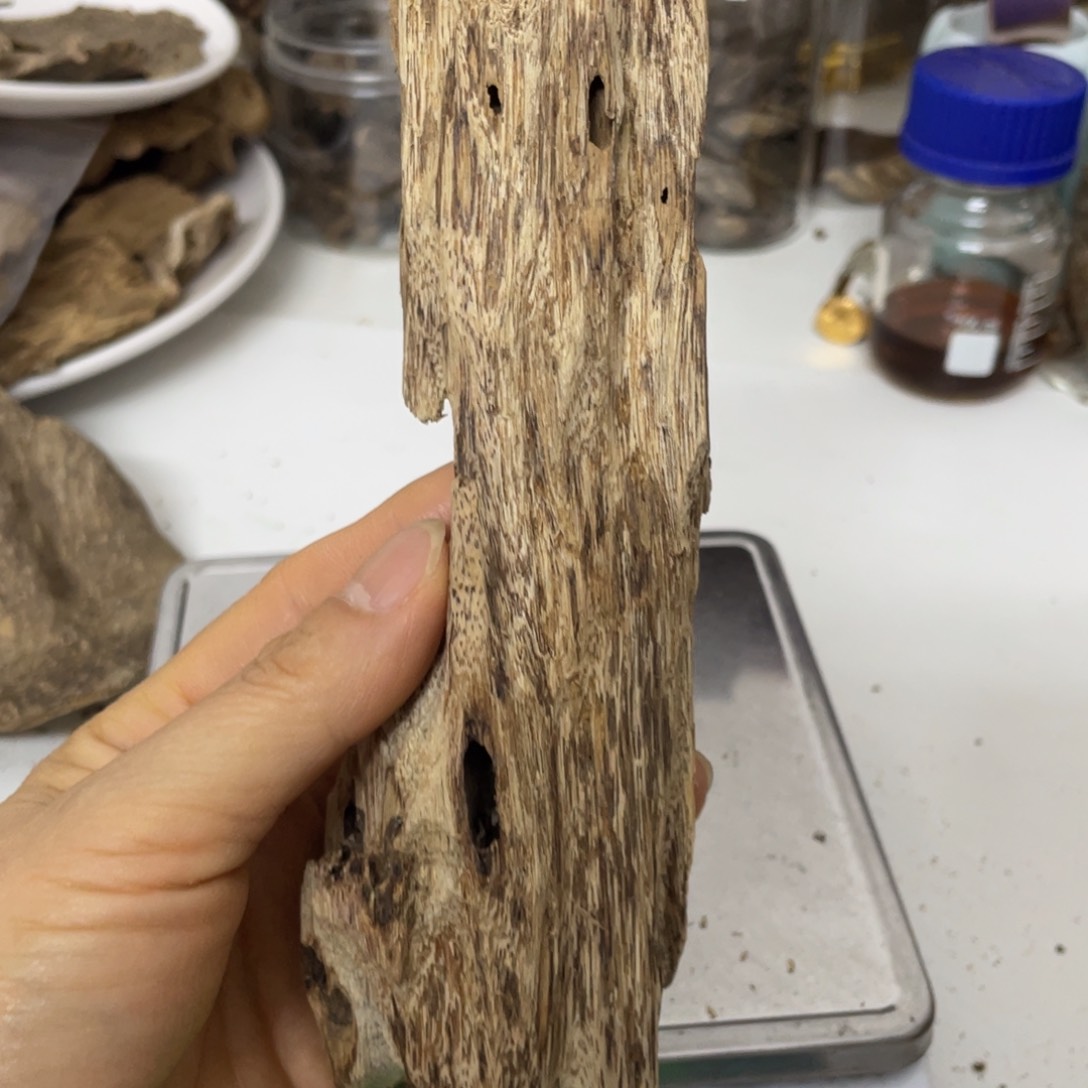 摆件沉香海南沉香块料41.9克