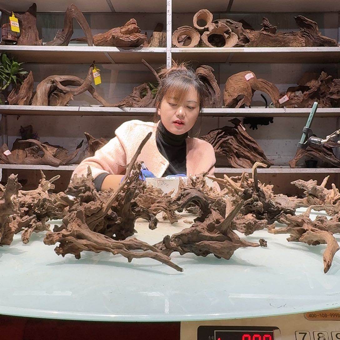 倍储沉木不包损，必褪色✔***20624玲珑木小货