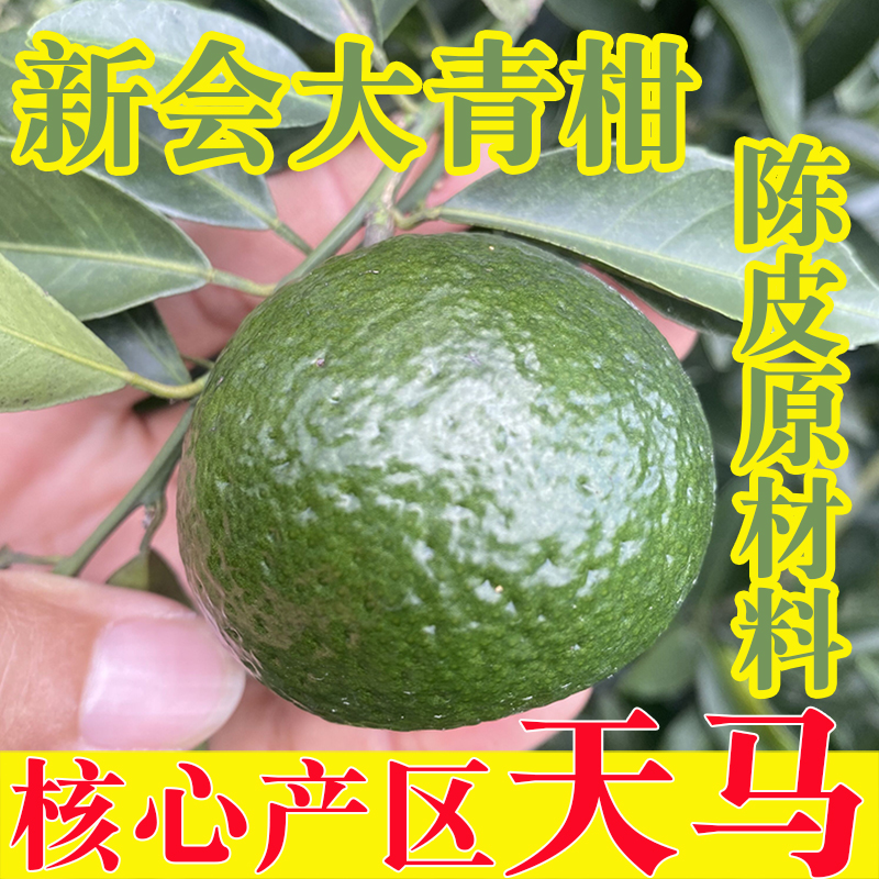 【晒皮专用鲜果】新会柑鲜果正宗天马圈枝大青柑自用收藏茶枝柑