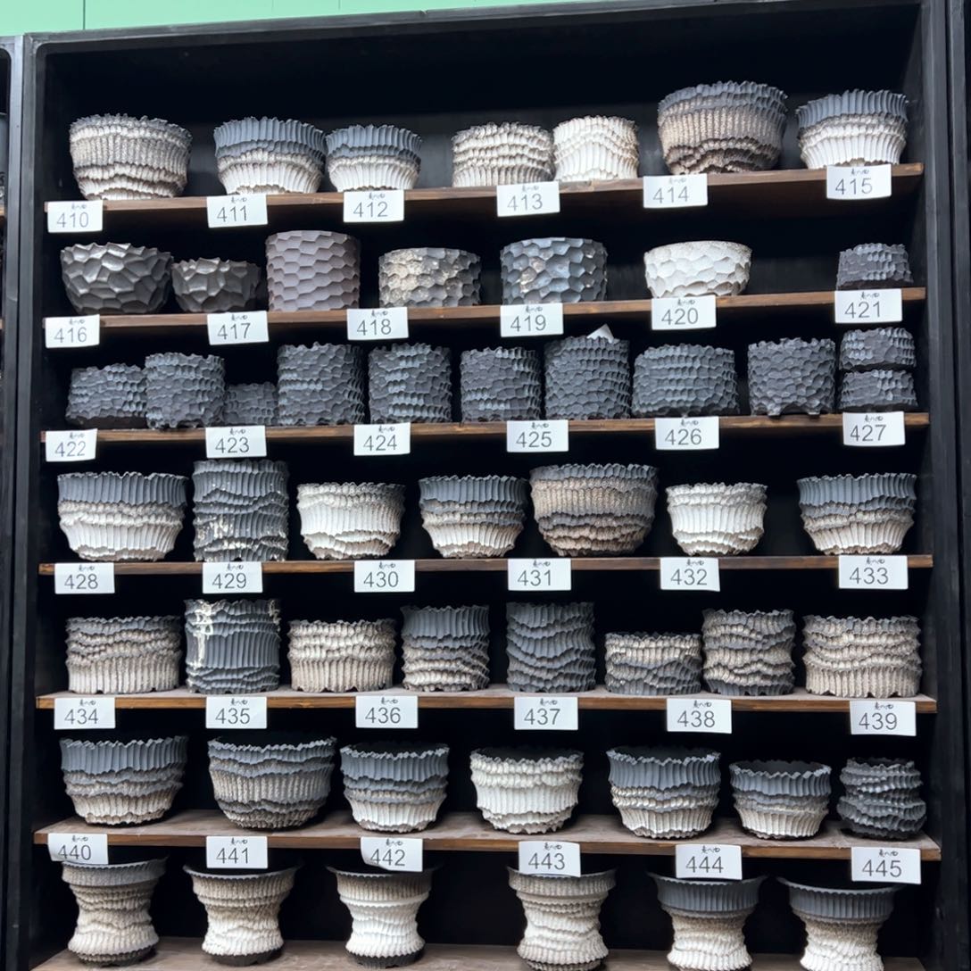 有喜欢的把编号打在公屏