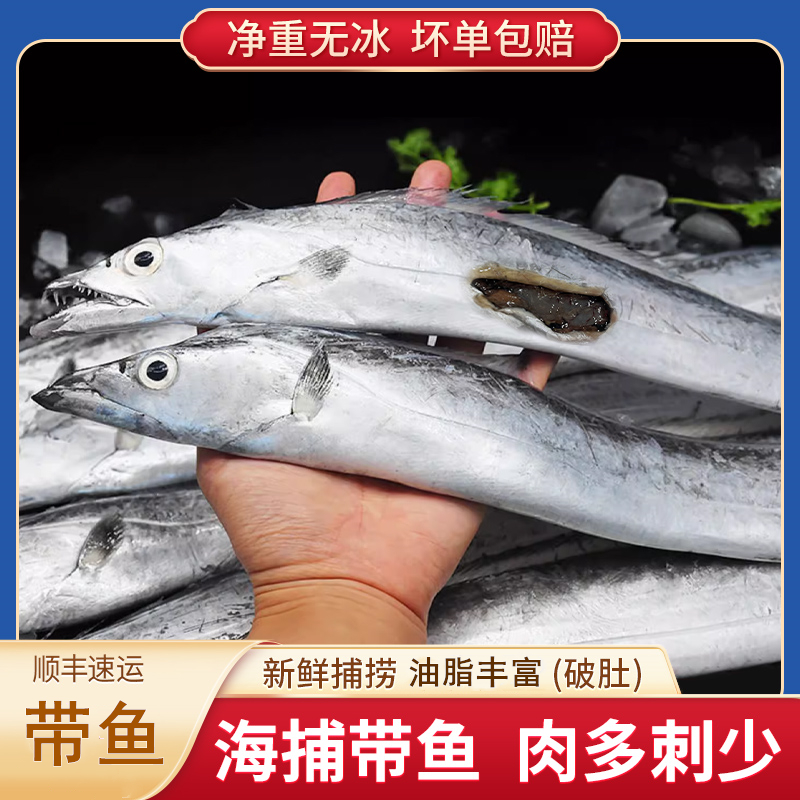 海捕大残带鱼新鲜烟台刀鱼冷冻整条非中段鲜水产红烧小眼带鱼