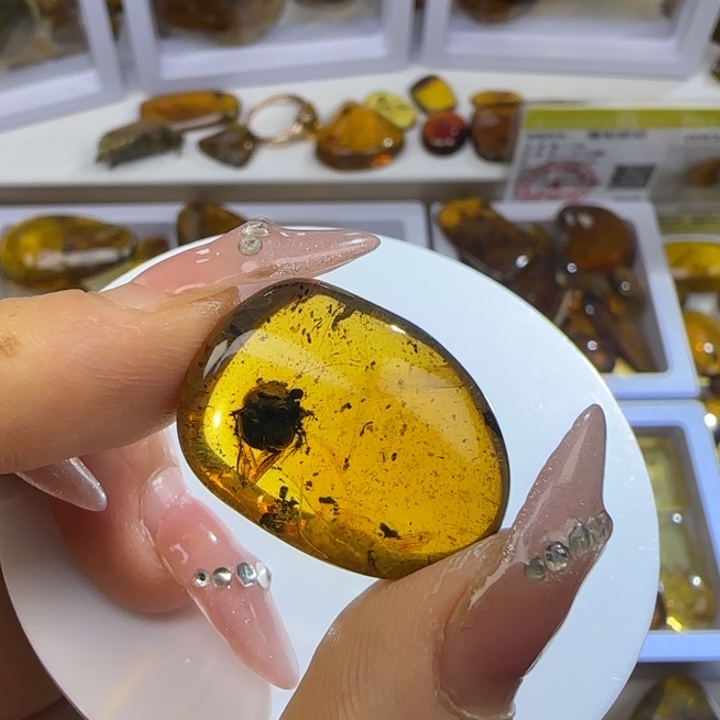用***5琥珀未镶嵌裸石虫珀标本