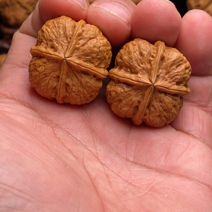 把件文玩核桃4开播福利