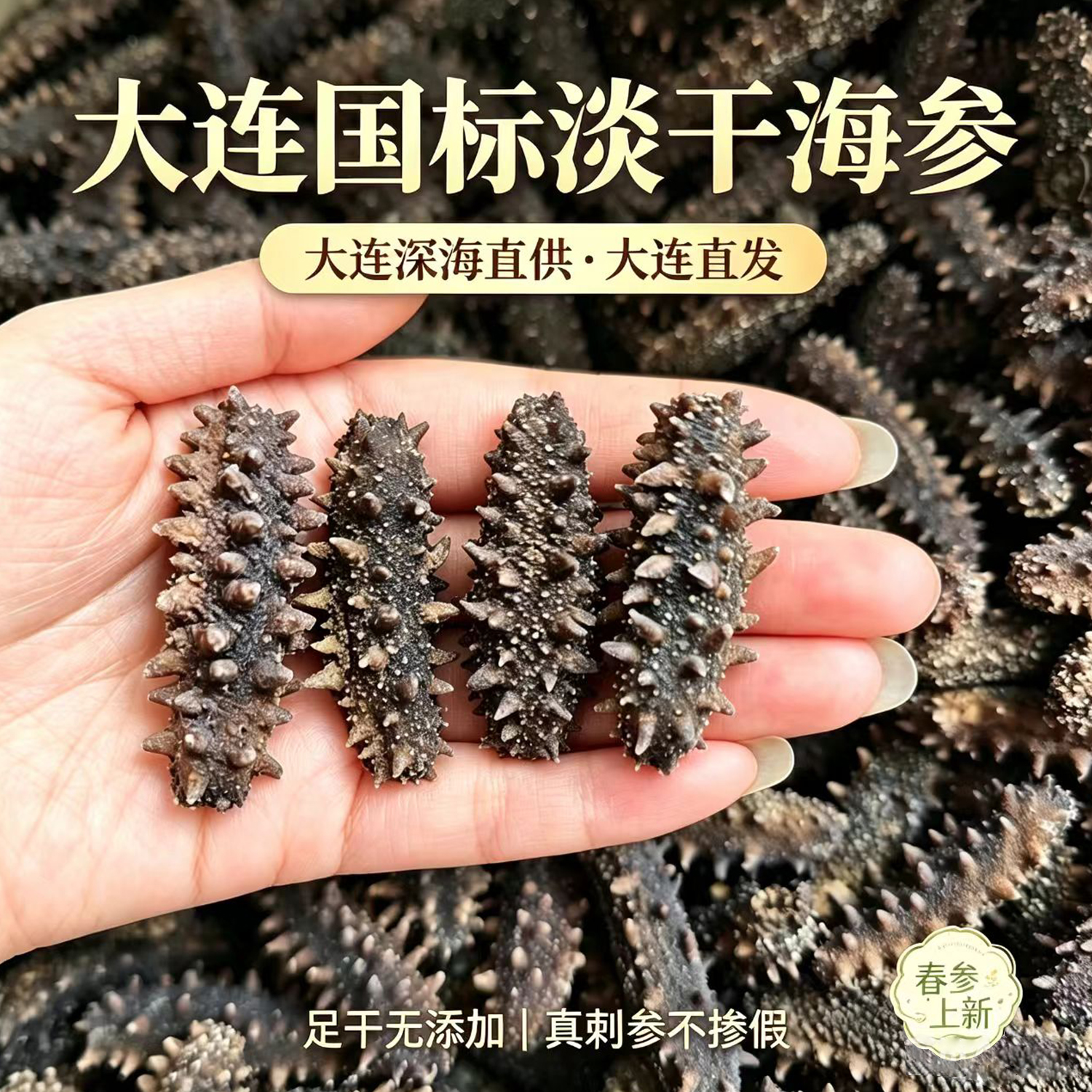 682克春参上新60-100头/斤大连发货干海参深海高品质海参纯淡干