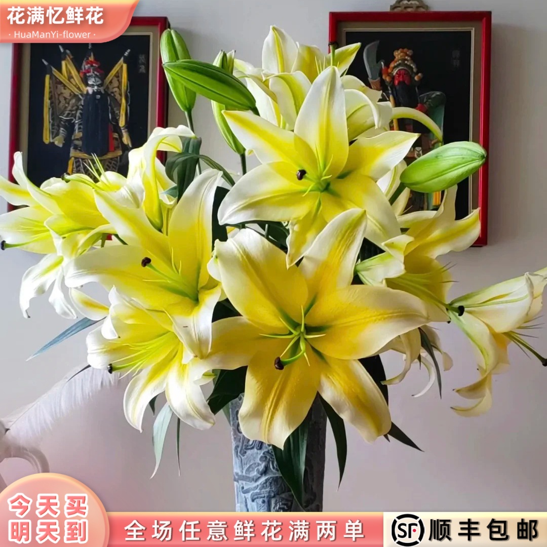 次日达 -【黄天霸百合】6朵黄百合鲜花鲜切花家居用花批发任意满两单顺丰包邮三单送花瓶今天拍明天到dd