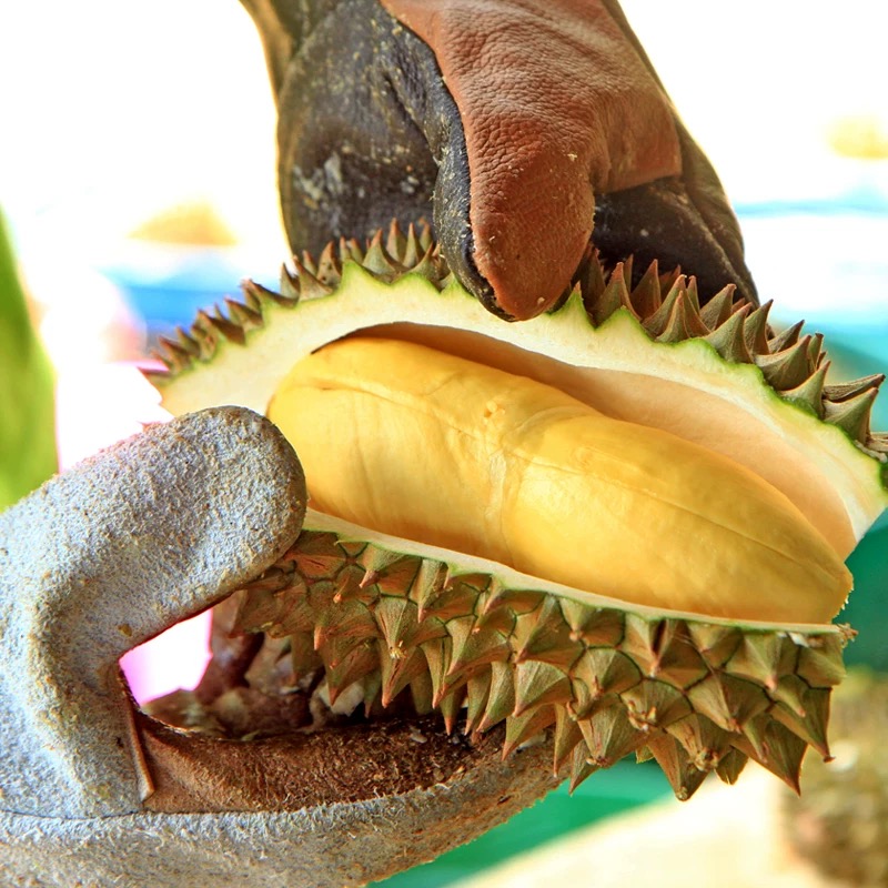 【上海专享】空运树熟金枕双A果一物一拍（鲜榴莲核小 按斤拍）金枕上海市泰国