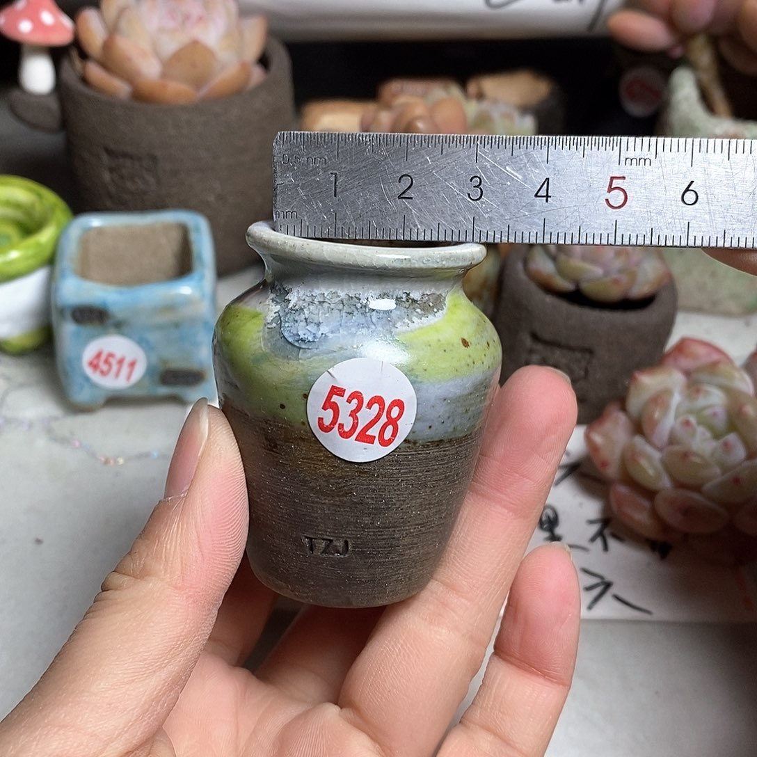 红陶拍5送一个小