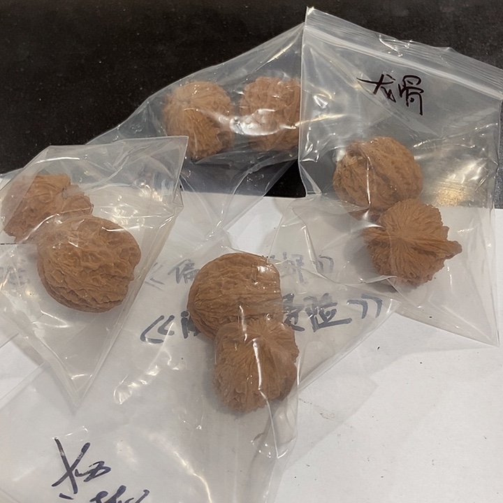 吊坠文玩核桃小龙骨