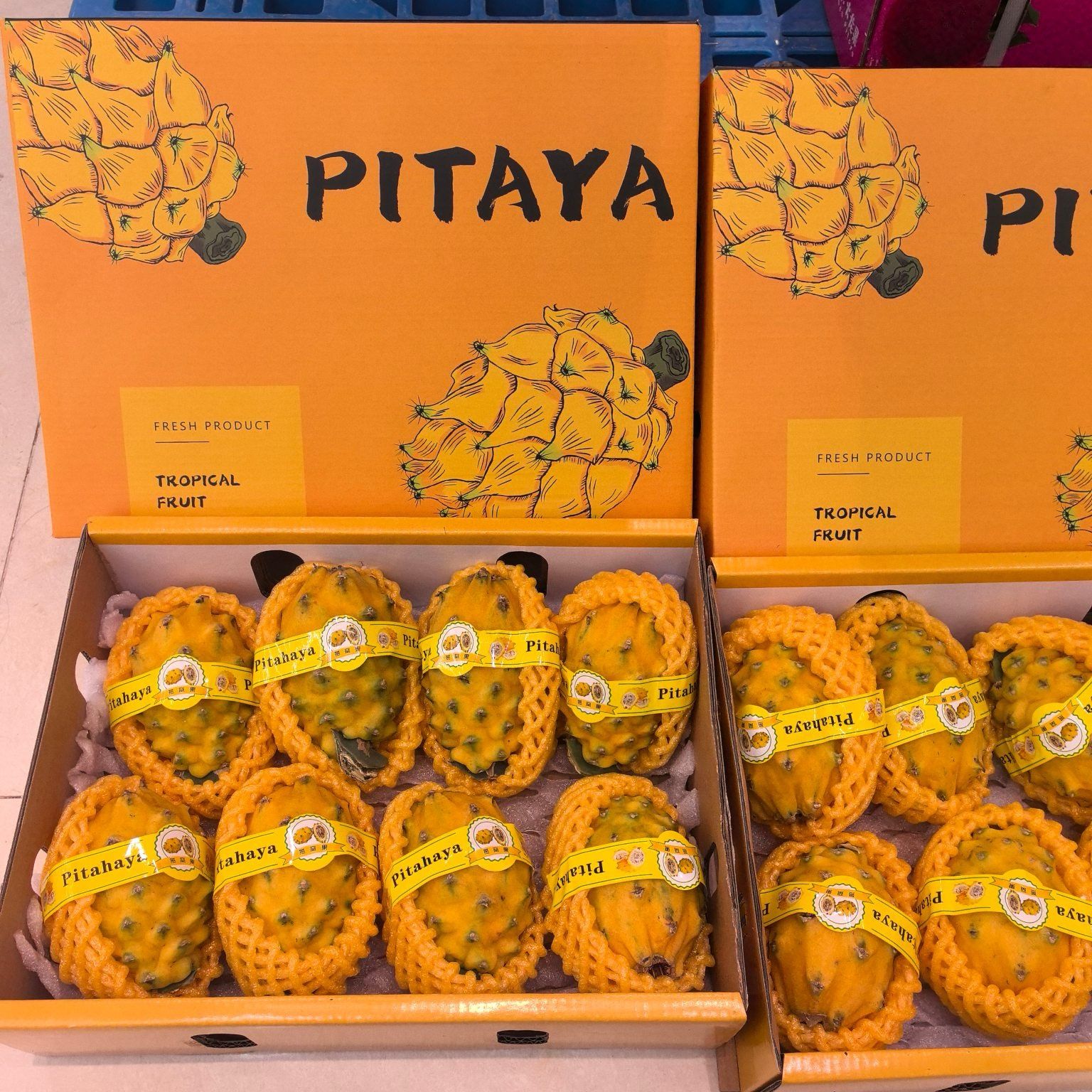 海南麒麟果（8枚礼盒装）