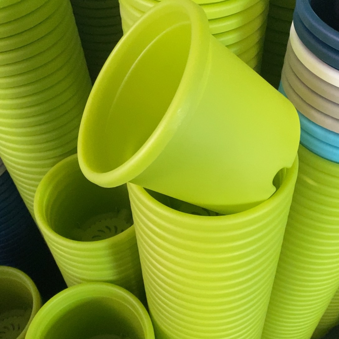 特价2号柠檬黄13个无拖