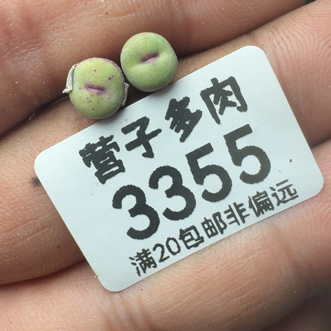 1380两颗                