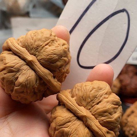 吊坠桃核40蛤蟆头核桃