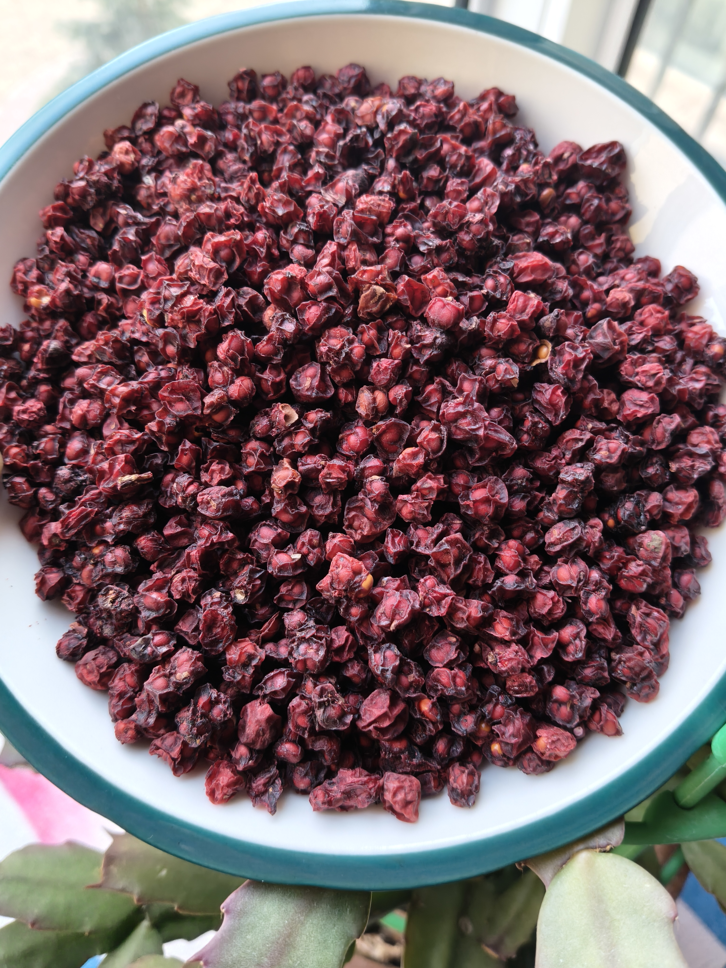 野外采摘～五味子～自然晾晒～100克起包邮