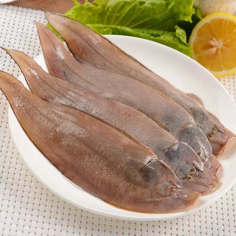 龙利鱼龙舌鱼广东野生深海捕捞宝宝辅食（约6条/斤）帮杀