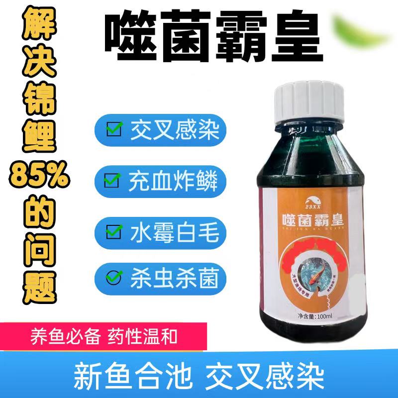 噬菌霸皇调节剂养鱼必备  交叉感染烂肉水霉