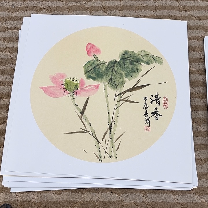 国画花鸟的翅膀和翅膀50.50