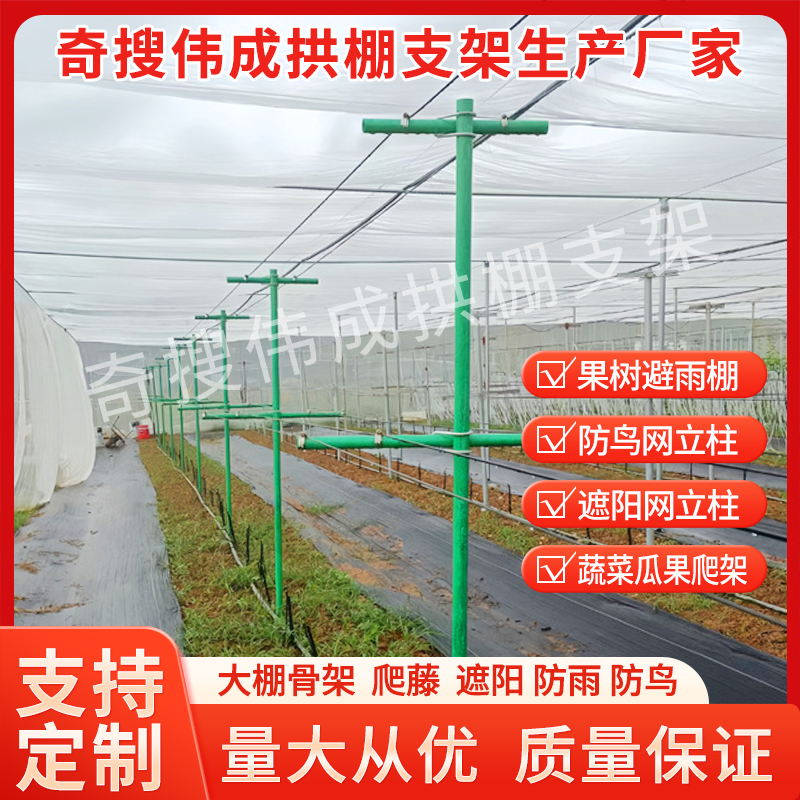 【百香果立柱】扶持杆玻璃纤维大棚骨架立柱遮阳棚支架瓜果爬藤立柱
