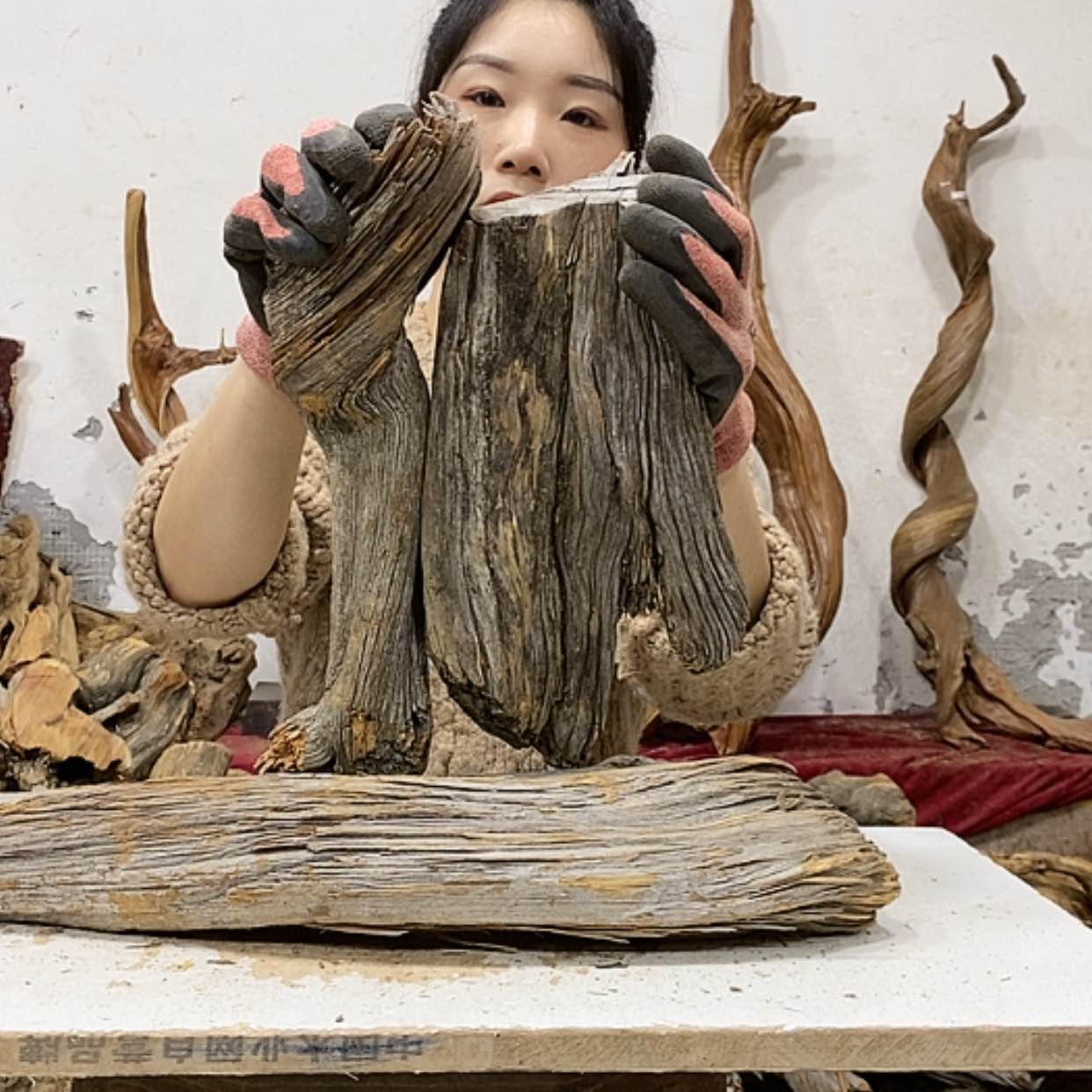 【闪购商品】柏木忆*我们都是好孩子