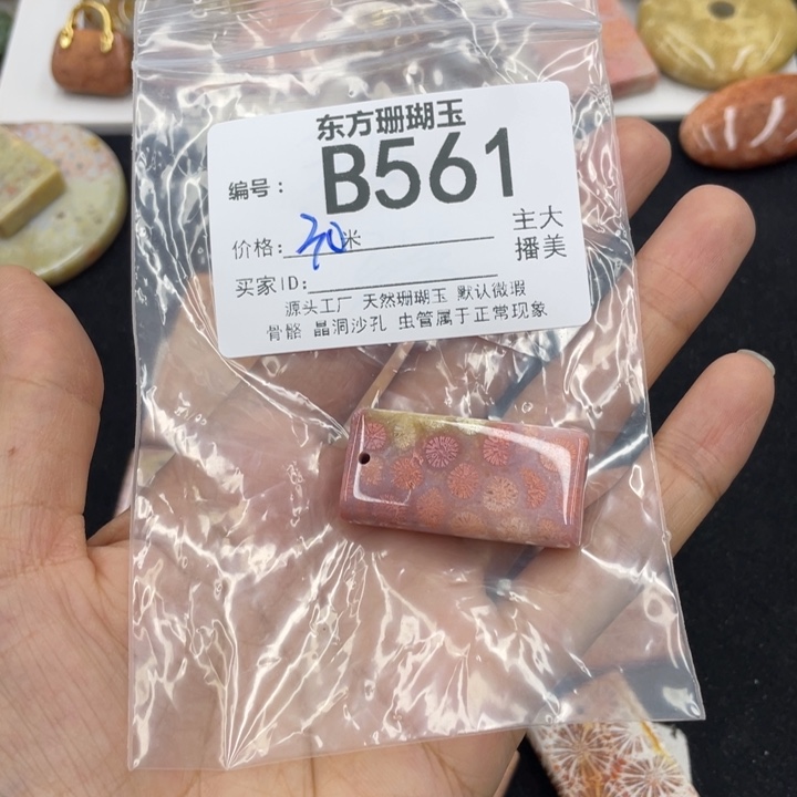 硅化珊瑚（珊瑚玉）颈饰合金O*
