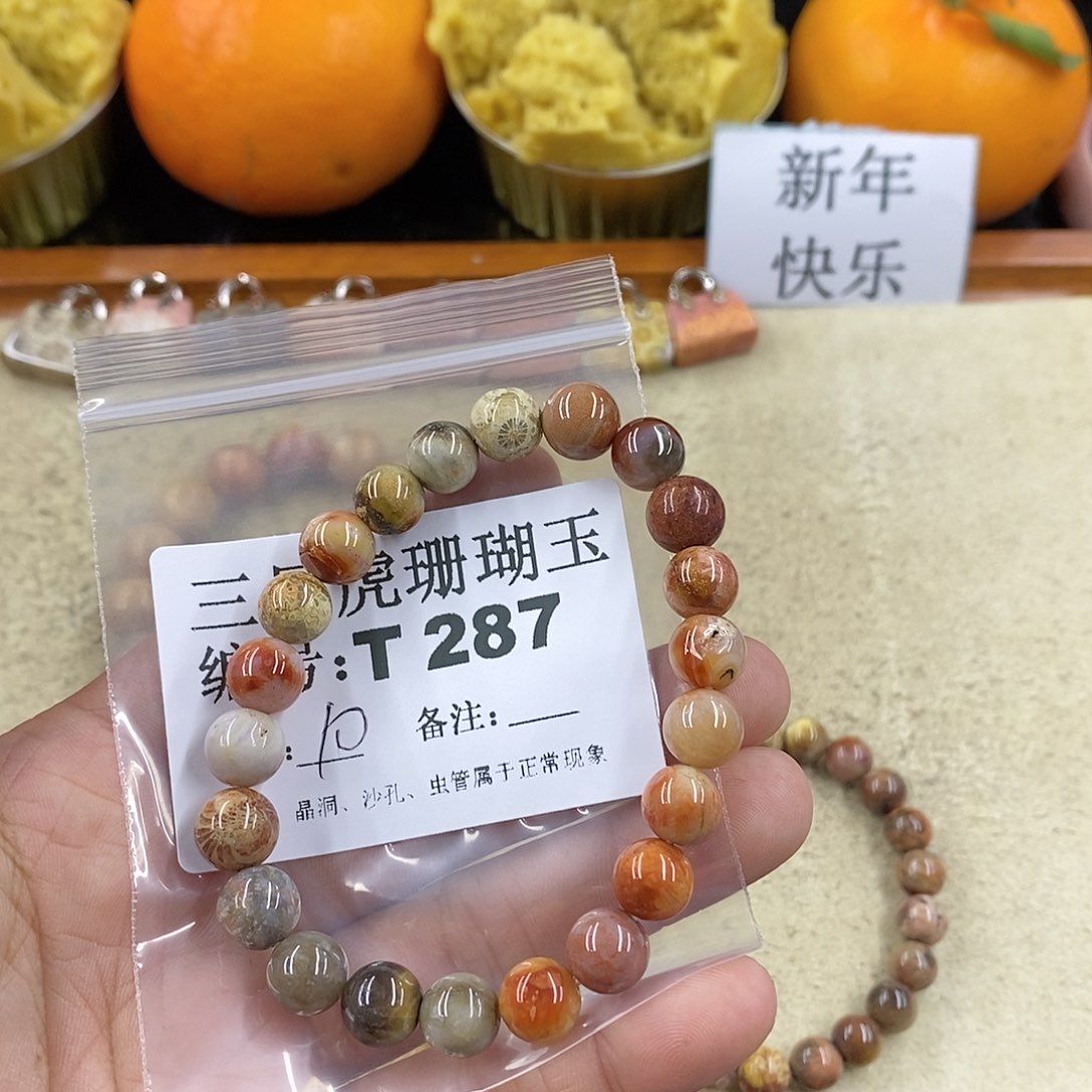 硅化珊瑚（珊瑚玉）1未镶嵌甲***〕