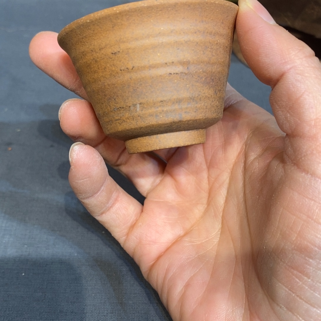 瓷片我是真的爱过你们还会