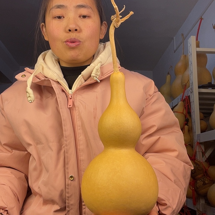 天然葫芦一物一图看图片发货