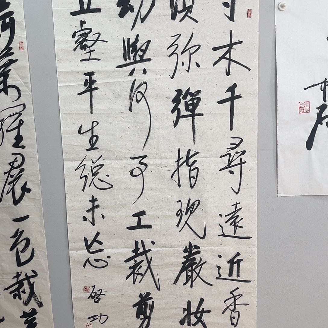 逸***物书法启老师书法作品