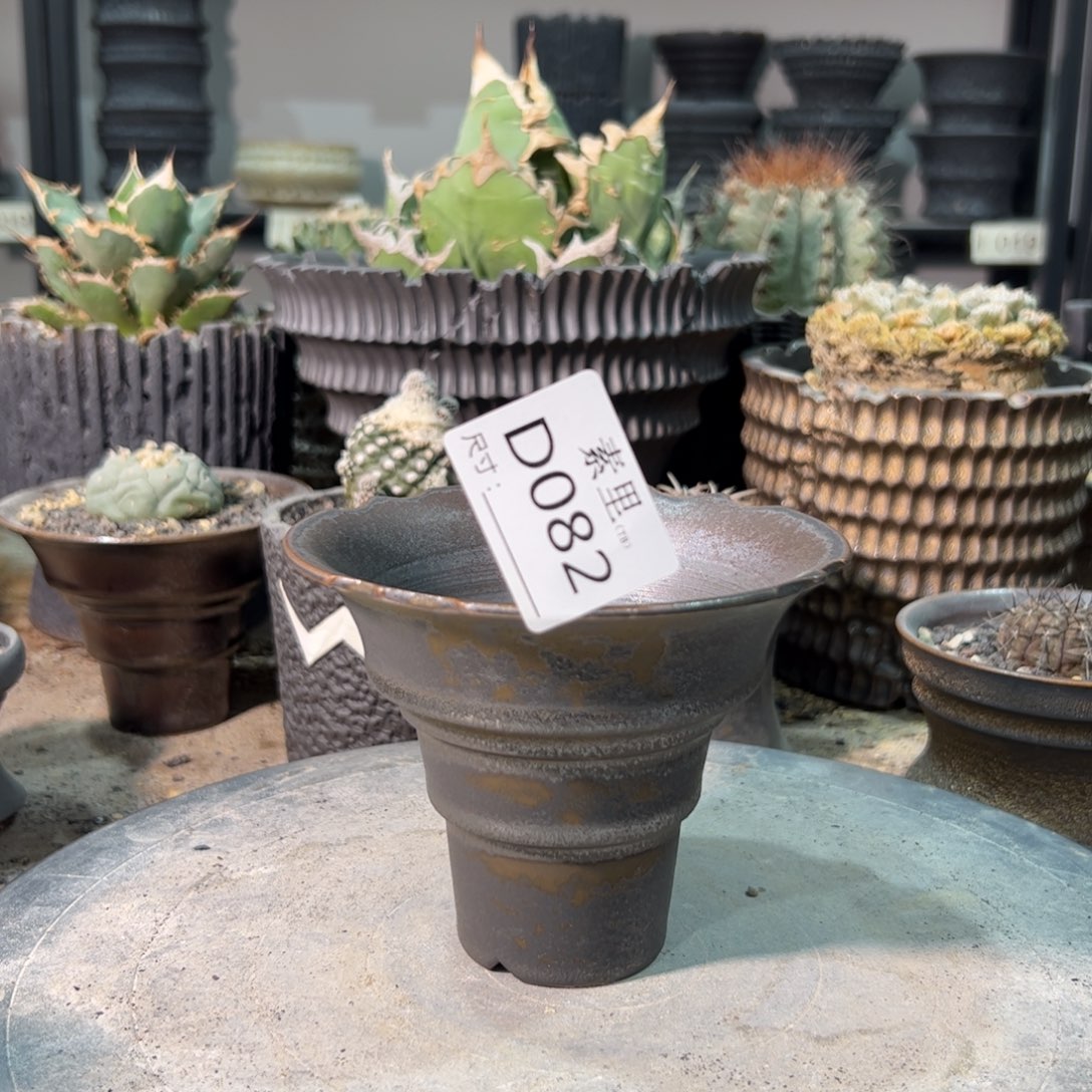 景德镇素里手工内口12.3高9.5