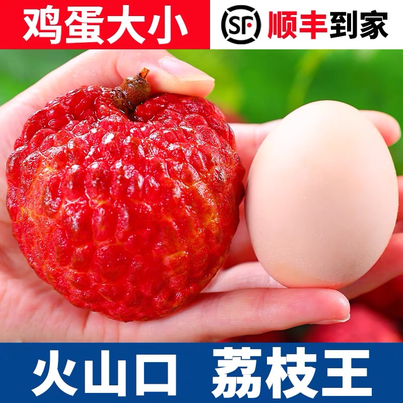 A【顺丰】海南荔枝王1-5斤新鲜水果当季火山口荔枝王