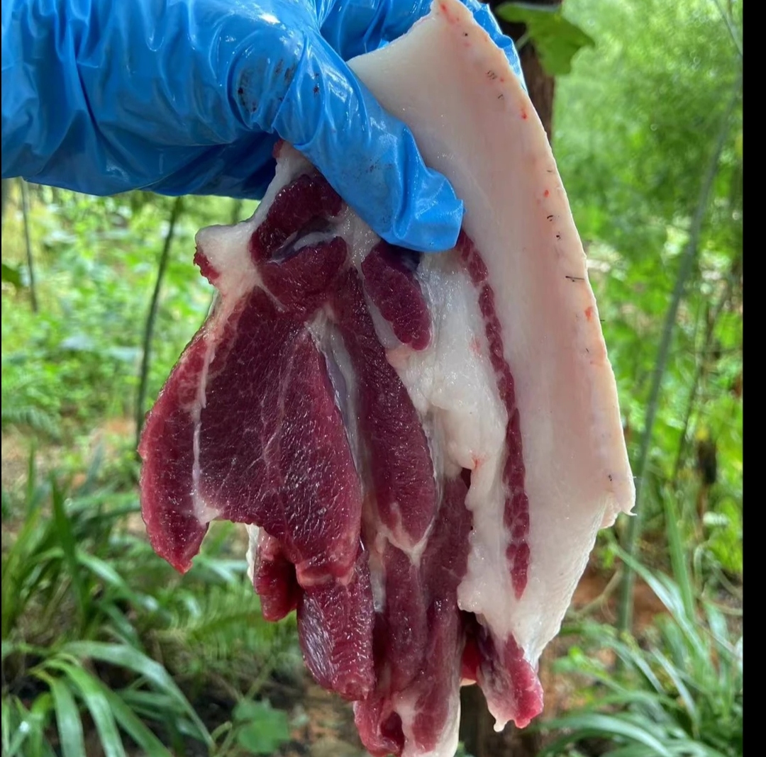 【90%用户下单定量装】纯粮食生态散养360天以上中华老品种土黑猪