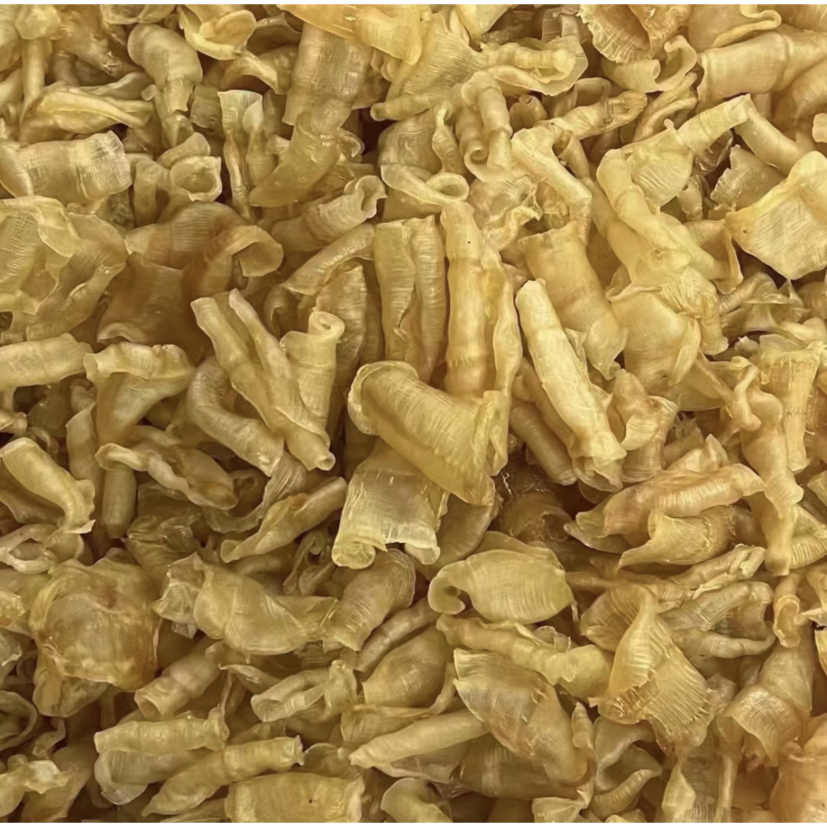 凤尾胶鱼胶花胶海味干货天然炖奶煲汤孕妇滋补品鱼胶餐饮