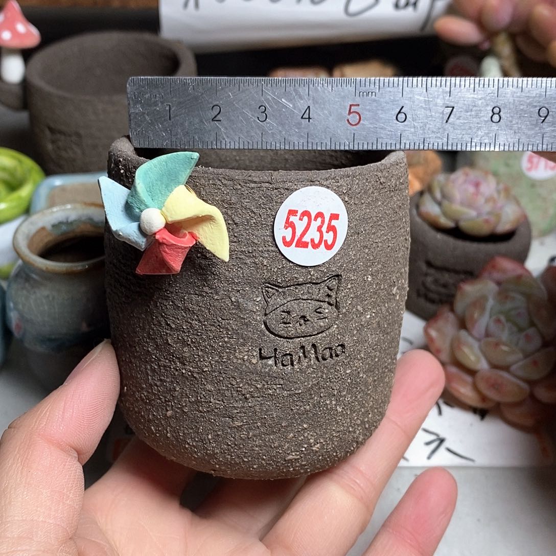 红陶拍5送一个小