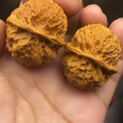 文玩核桃把件39尺珊瑚绣球