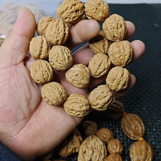 木质类纯野生山核桃      4