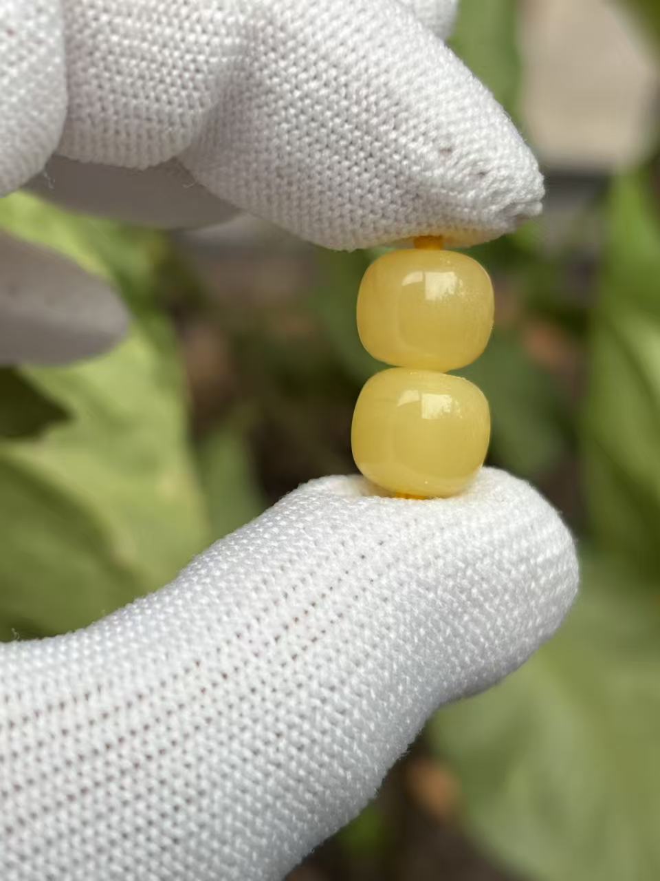 3725天然蜜蜡琥珀老型墩子9.9x8.1mm