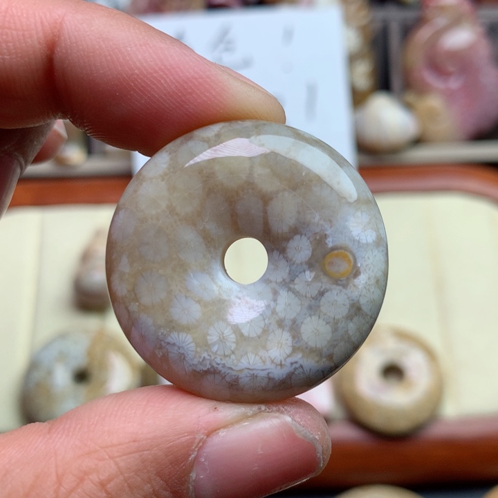 硅化珊瑚（珊瑚玉）颈饰未镶嵌