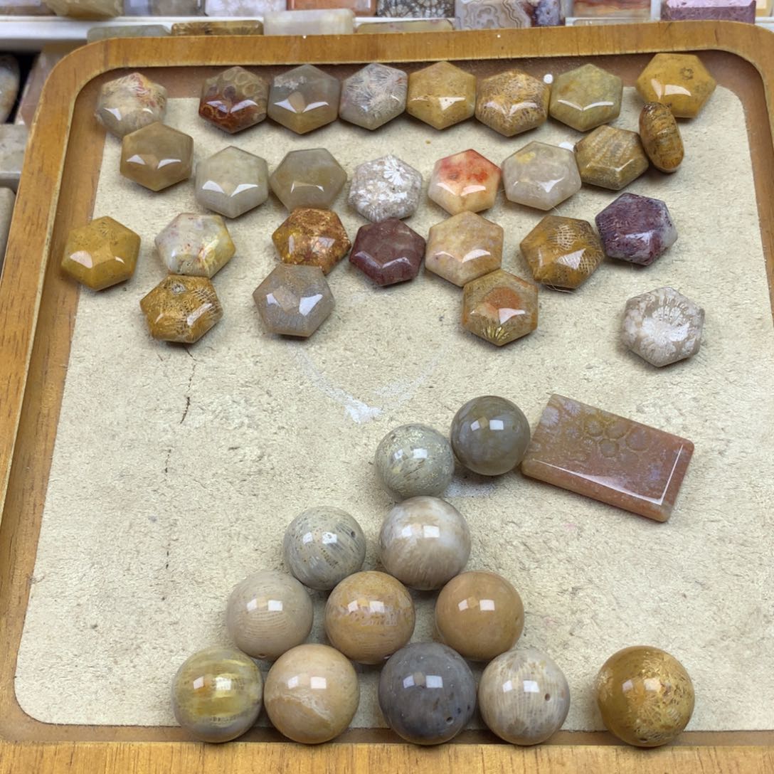 万***柜硅化珊瑚（珊瑚玉）未镶嵌珠宝奇石