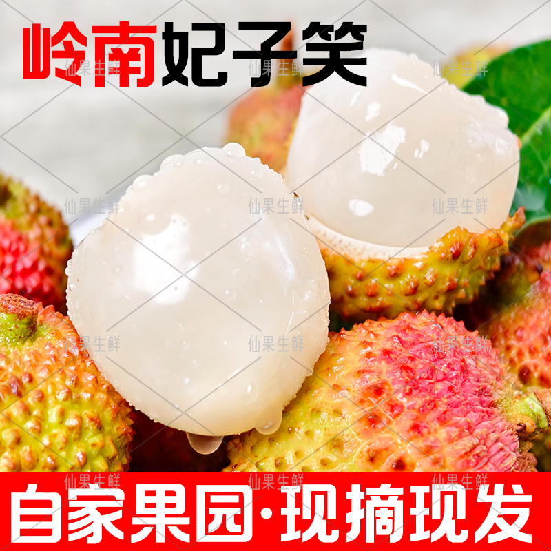 【EMS空运/顺丰/京东包邮】广东湛江妃子笑荔枝新鲜大果冷链包邮