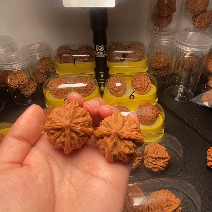 天然四棱       全品