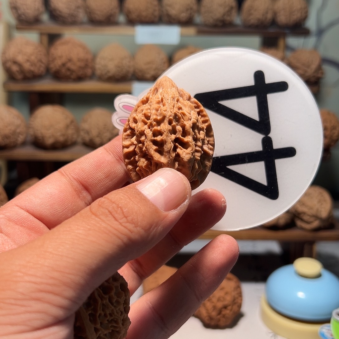 小**宝文玩核桃，白色44号